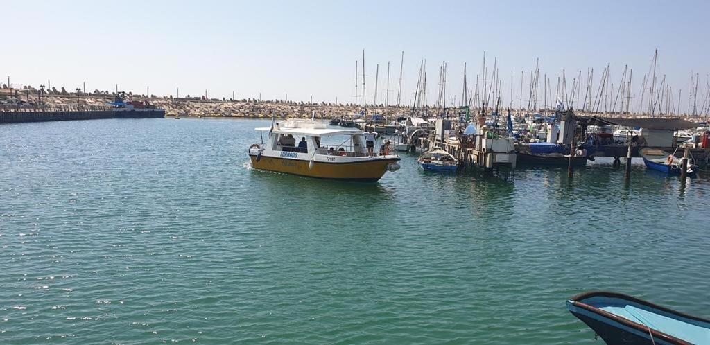 Rotem Suite In Marina Ashklon Aszkelon Zewnętrze zdjęcie